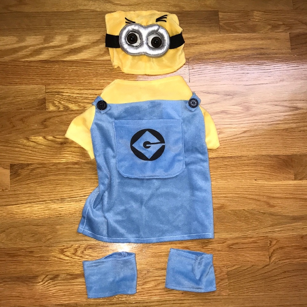 Minion pet costume 💛💙